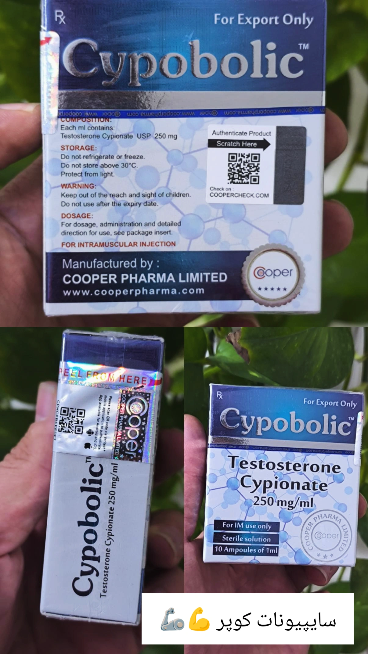 تست سایپیونات۲۵۰کوپر